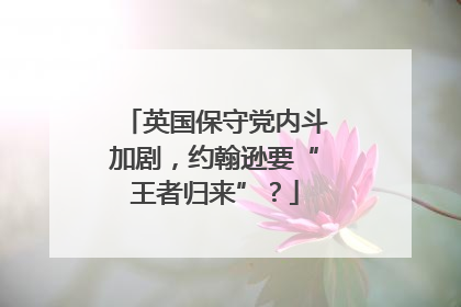英国保守党内斗加剧，约翰逊要“王者归来”？