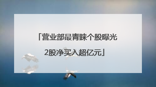 营业部最青睐个股曝光 2股净买入超亿元
