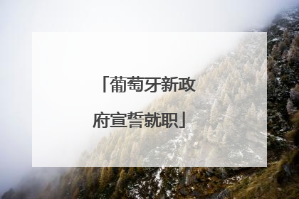 葡萄牙新政府宣誓就职