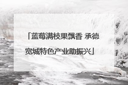 蓝莓满枝果飘香 承德宽城特色产业助振兴