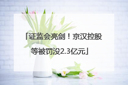 证监会亮剑！京汉控股等被罚没2.3亿元