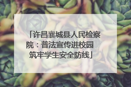 许昌襄城县人民检察院：普法宣传进校园 筑牢学生安全防线