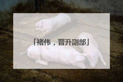 褚伟，晋升副部