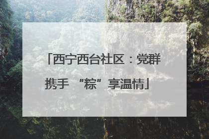 西宁西台社区：党群携手 “粽”享温情