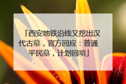 西安地铁沿线又挖出汉代古墓，官方回应：普通平民墓，计划回填