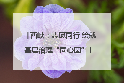 西峡：志愿同行 绘就基层治理“同心圆”