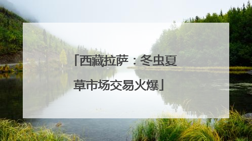 西藏拉萨：冬虫夏草市场交易火爆