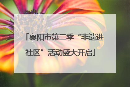 襄阳市第二季“非遗进社区”活动盛大开启
