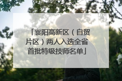 襄阳高新区（自贸片区）两人入选全省首批特级技师名单