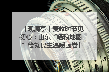 观澜亭｜麦收时节见初心：山东“晒粮地图”绘就民生温暖画卷