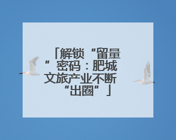 解锁“留量”密码：肥城文旅产业不断“出圈”