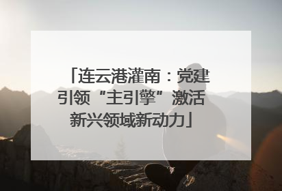连云港灌南：党建引领“主引擎”激活新兴领域新动力
