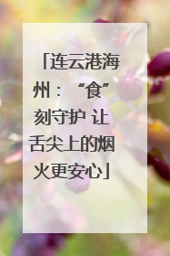 连云港海州：“食”刻守护 让舌尖上的烟火更安心