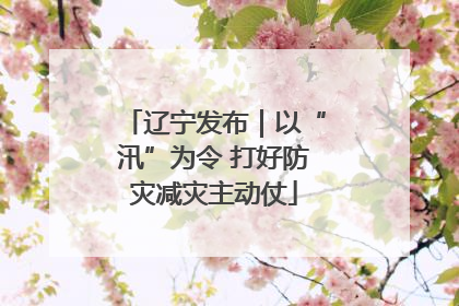 辽宁发布｜以“汛”为令 打好防灾减灾主动仗