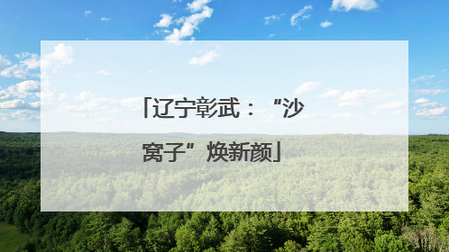 辽宁彰武：“沙窝子”焕新颜