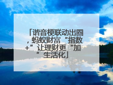 谐音梗联动出圈，蚂蚁财富“指数+”让理财更“加”生活化
