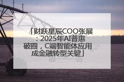 财跃星辰COO张展：2025年AI普惠破圈，C端智能体应用成金融转型关键