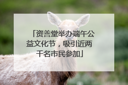 资善堂举办端午公益文化节，吸引近两千名市民参加