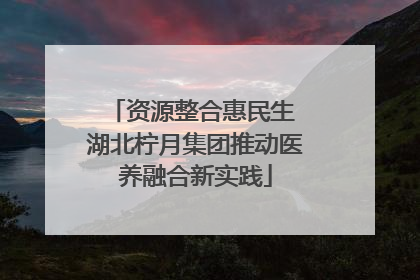 资源整合惠民生 湖北柠月集团推动医养融合新实践