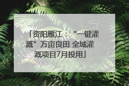 资阳雁江：“一键灌溉”万亩良田 全域灌溉项目7月投用