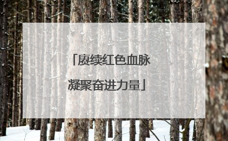 赓续红色血脉 凝聚奋进力量