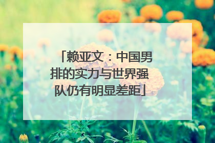 赖亚文：中国男排的实力与世界强队仍有明显差距