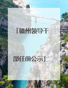 赣州领导干部任前公示