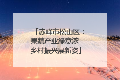 赤峰市松山区：果蔬产业绿意浓 乡村振兴展新姿