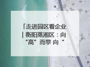 走进园区看企业｜衡阳蒸湘区：向“高”而攀 向“新”而行