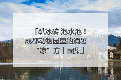 趴冰砖 泡水池！成都动物园里的消暑“凉”方丨图集