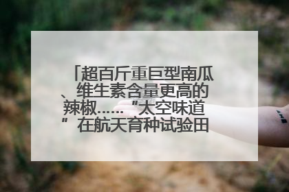 超百斤重巨型南瓜、维生素含量更高的辣椒……“太空味道”在航天育种试验田里拔节生长