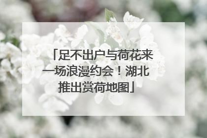 足不出户与荷花来一场浪漫约会！湖北推出赏荷地图