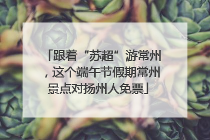 跟着“苏超”游常州，这个端午节假期常州景点对扬州人免票