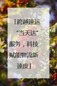 跨越速运“当天达”服务，科技赋能物流新速度