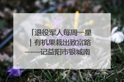 退役军人每周一星｜有机果栽出致富路——记益阳市银城南湖蔬果农民专业合作社总经理晏桂明