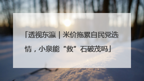 透视东瀛｜米价拖累自民党选情，小泉能“救”石破茂吗