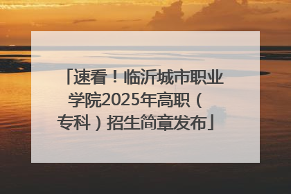 速看！临沂城市职业学院2025年高职（专科）招生简章发布