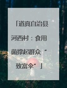 道真自治县河西村：食用菌撑起群众“致富伞”