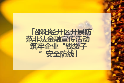邵阳经开区开展防范非法金融宣传活动 筑牢企业“钱袋子”安全防线