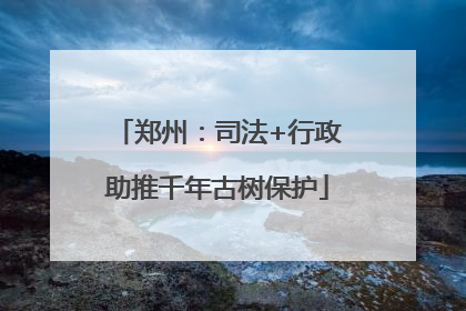 郑州：司法+行政助推千年古树保护