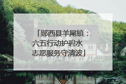 郧西县羊尾镇：六五行动护碧水 志愿服务守清波