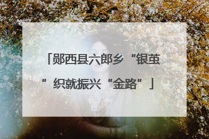 郧西县六郎乡“银茧”织就振兴“金路”