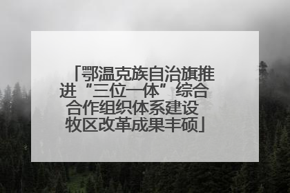鄂温克族自治旗推进“三位一体”综合合作组织体系建设 牧区改革成果丰硕
