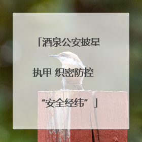 酒泉公安披星执甲 织密防控“安全经纬”