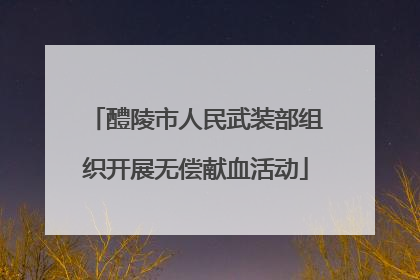 醴陵市人民武装部组织开展无偿献血活动
