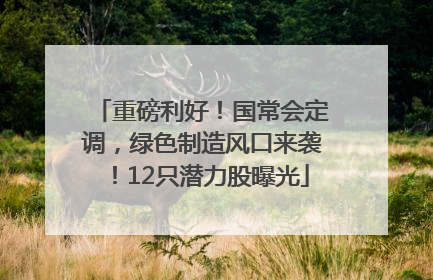 重磅利好！国常会定调，绿色制造风口来袭！12只潜力股曝光