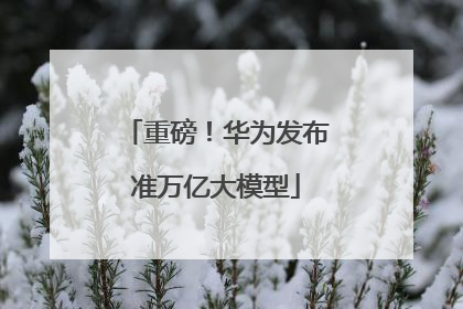 重磅！华为发布准万亿大模型