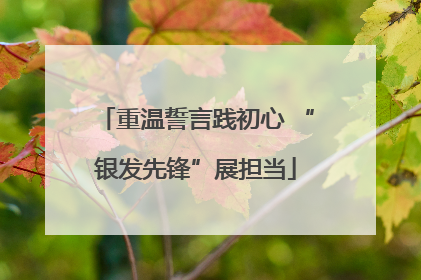 重温誓言践初心 “银发先锋”展担当