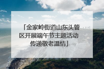 金家岭街道山东头管区开展端午节主题活动 传递敬老温情