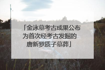 金泳墓考古成果公布 为首次经考古发掘的唐新罗质子墓葬